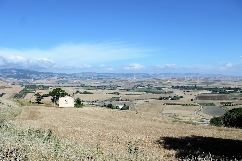 Photo 48