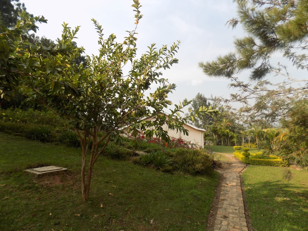 Photo 40