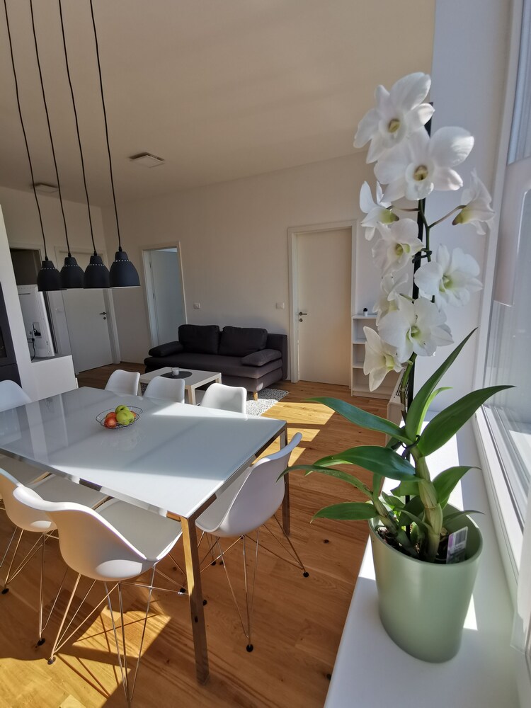 Apartments Egis Koper