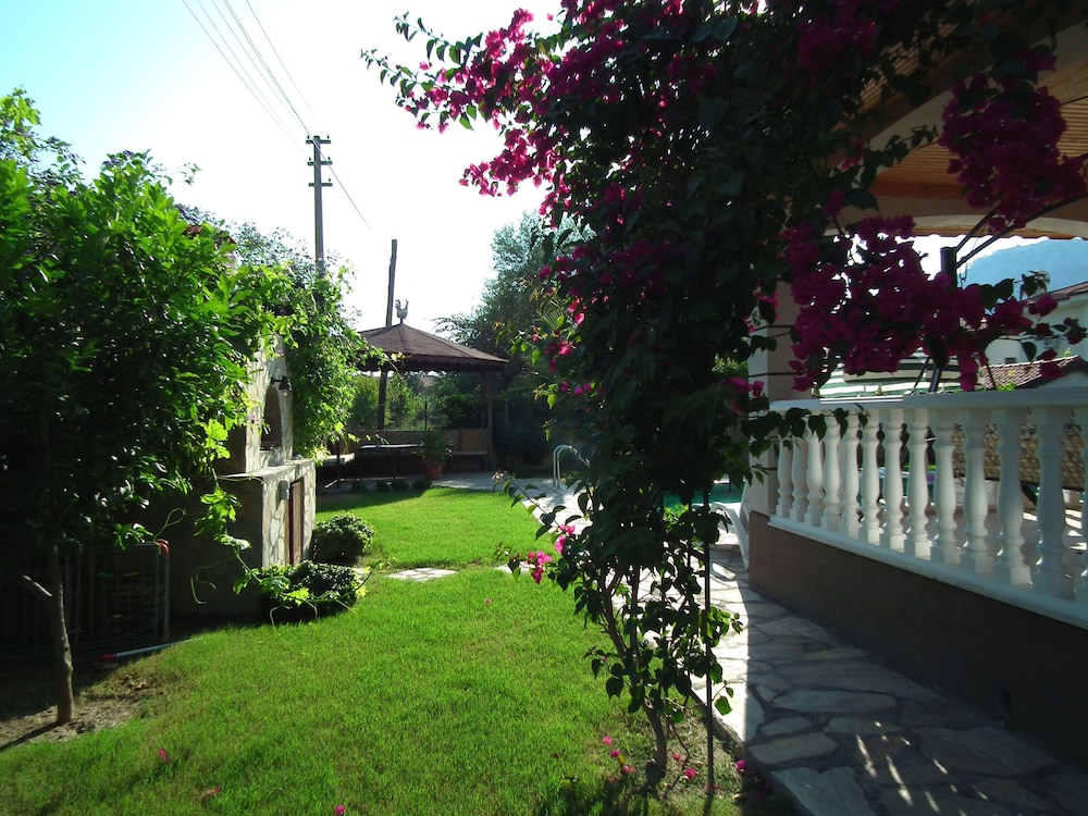 Photo 21