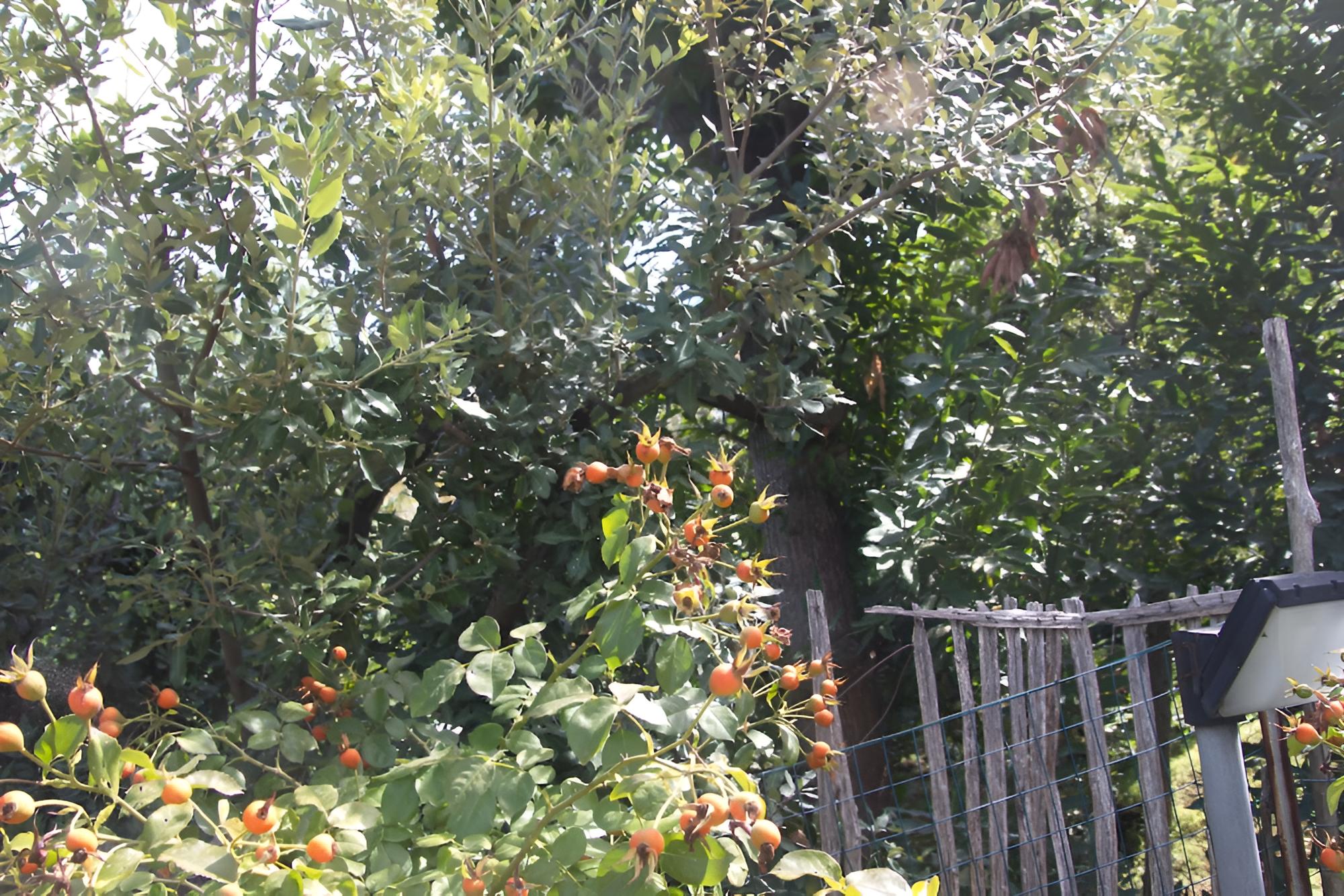 Photo 47