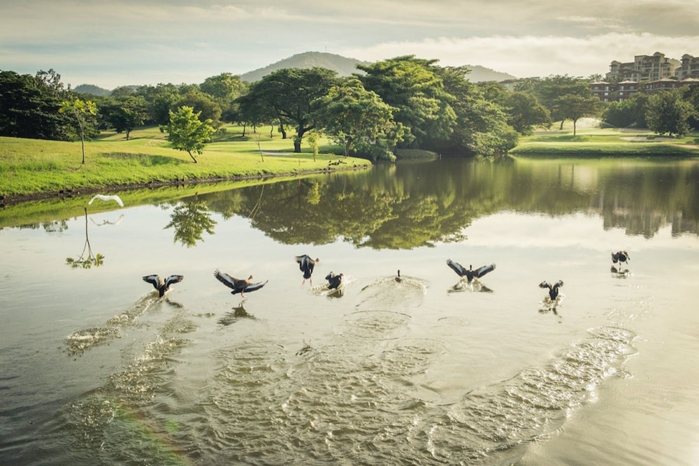 W Costa Rica - Reserva Conchal