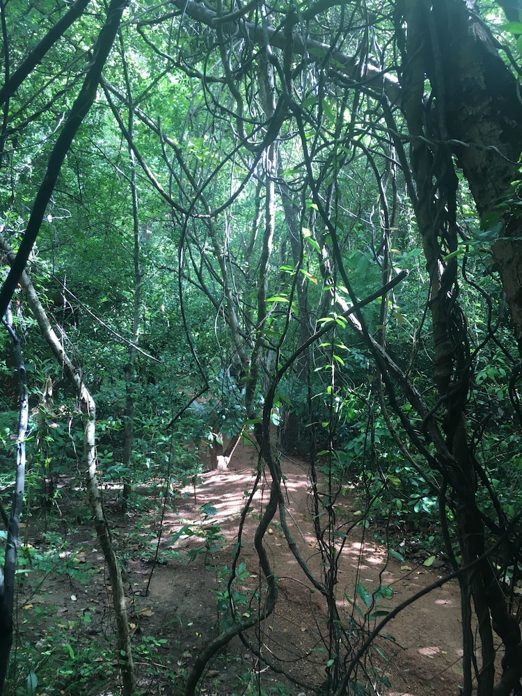 Mahagedara Wellness Retreat