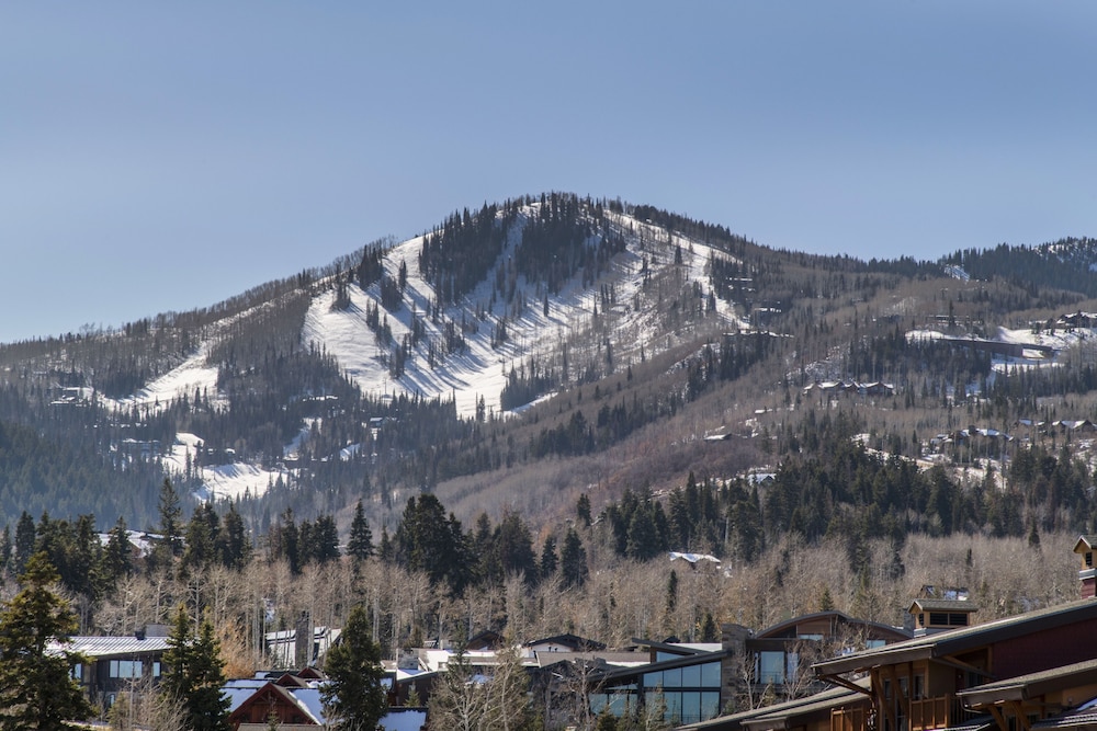 White Pines 1-BD Penthouse at Westgate - Tycoon