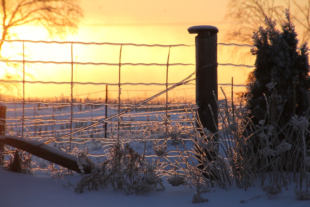 Golden Pathways Retreat and B&B