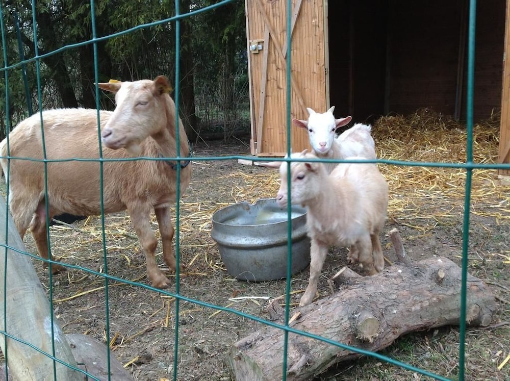 La Chaiserie en Romeries