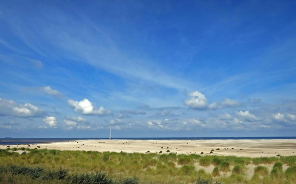 Bungalow in Netherlands Near the Coast, photo 18