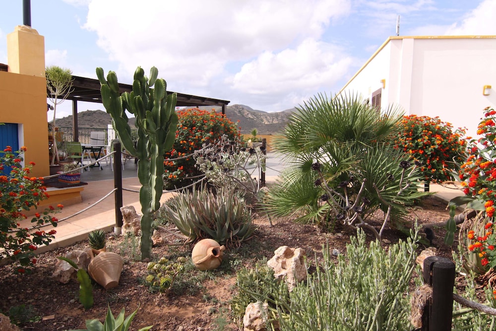 Photo 43