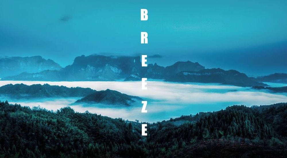Breeze & Alley Inn