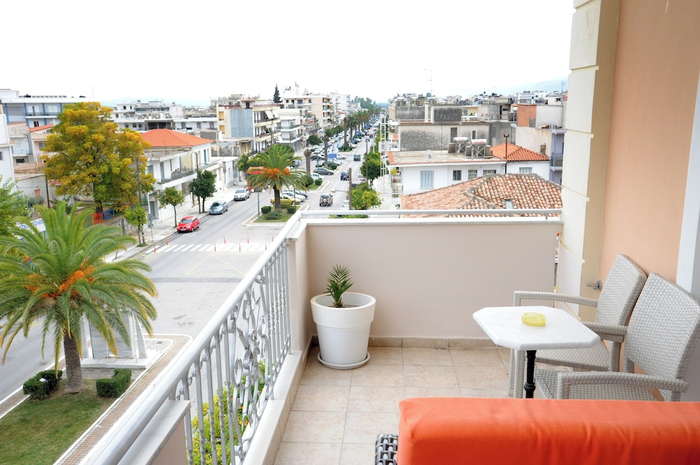 Leonidas View