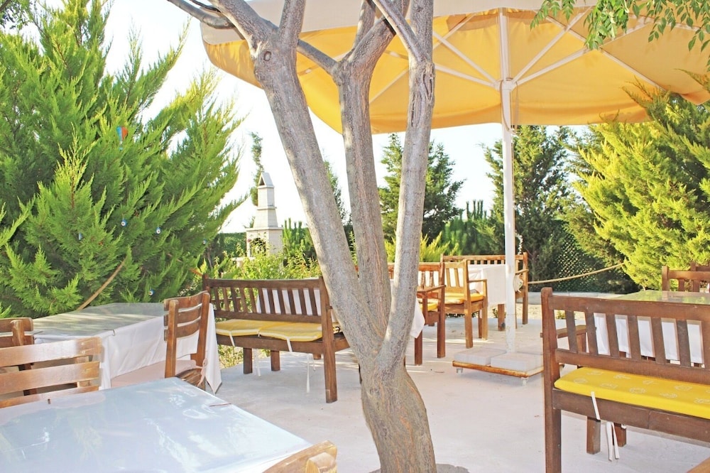 Karina Vineyard Evi - Image 34