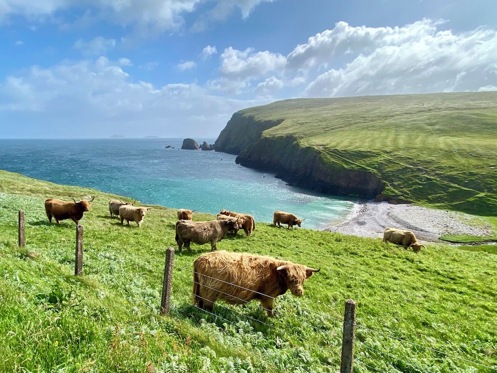 SEApods Luxury Glamping - Isle of Lewis