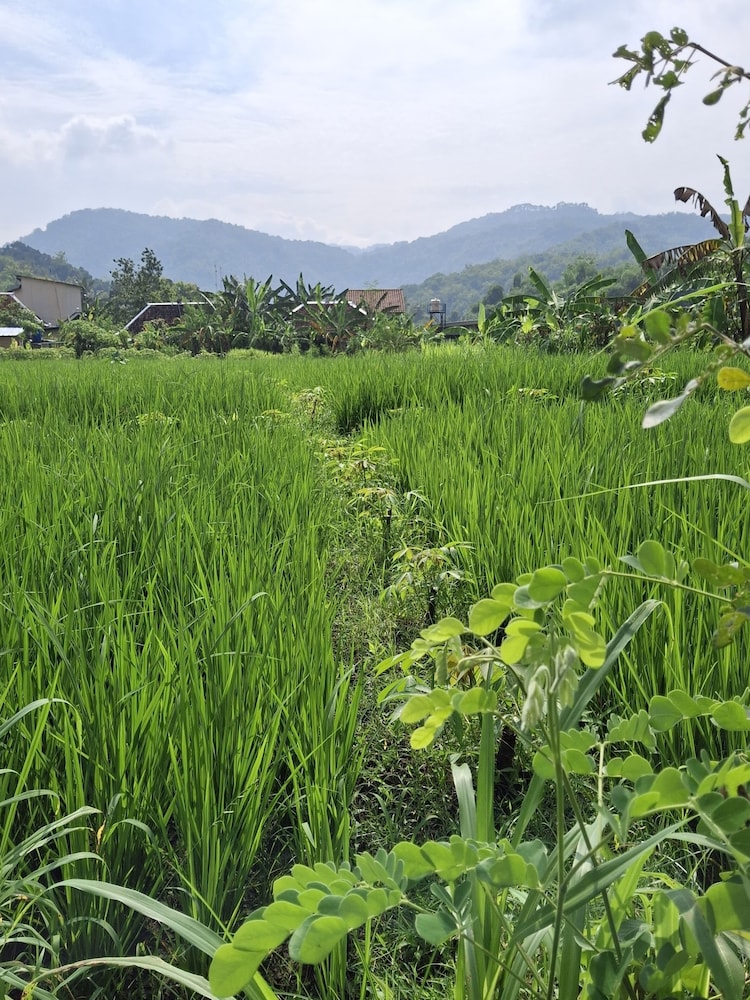 Sri Gaïa Yogyakarta