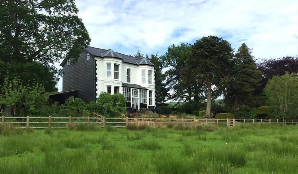 The Royston At Llwynaire