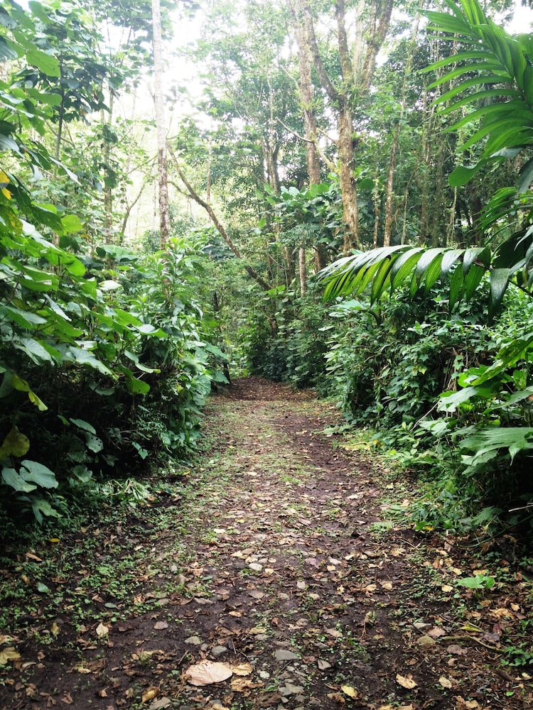 Bosque de Paz