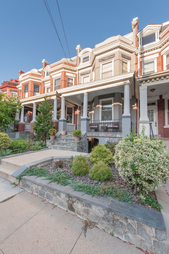 Honey Suite - Luxury Bed - Peaceful and Quiet Central D.C. view 4
