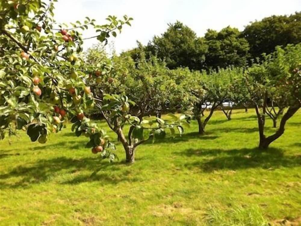 Cider Cottages