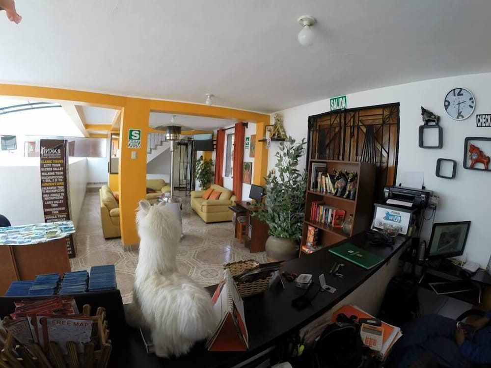 Cusco Packers Hostels