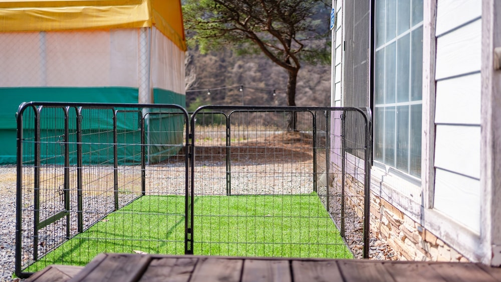 Yeongwol Nature & Pet Retreat