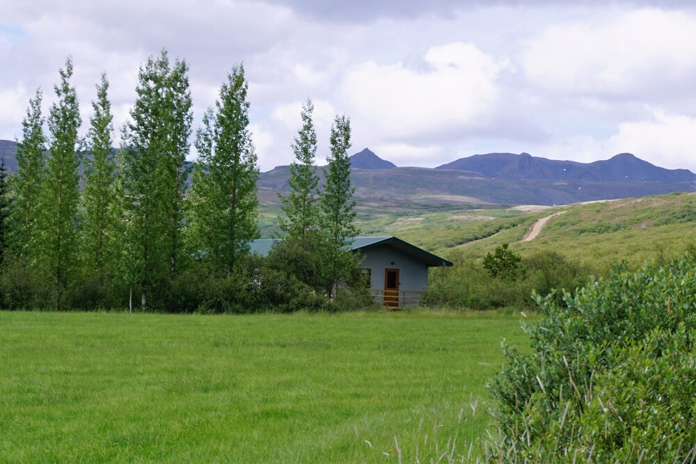 Photo 10