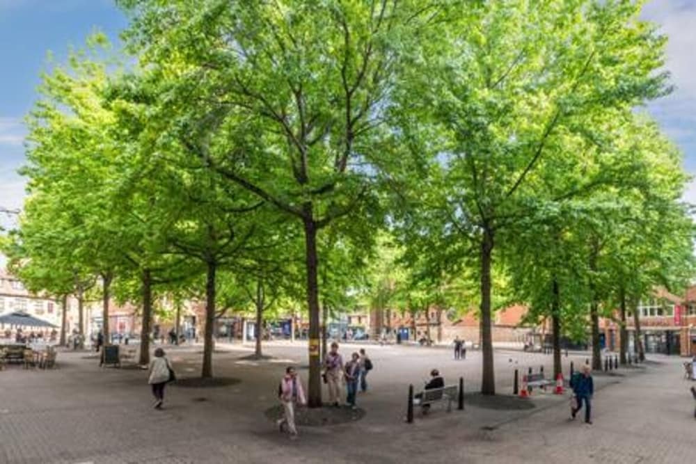 Central Oxford Oasis - Close to Colleges Shops
