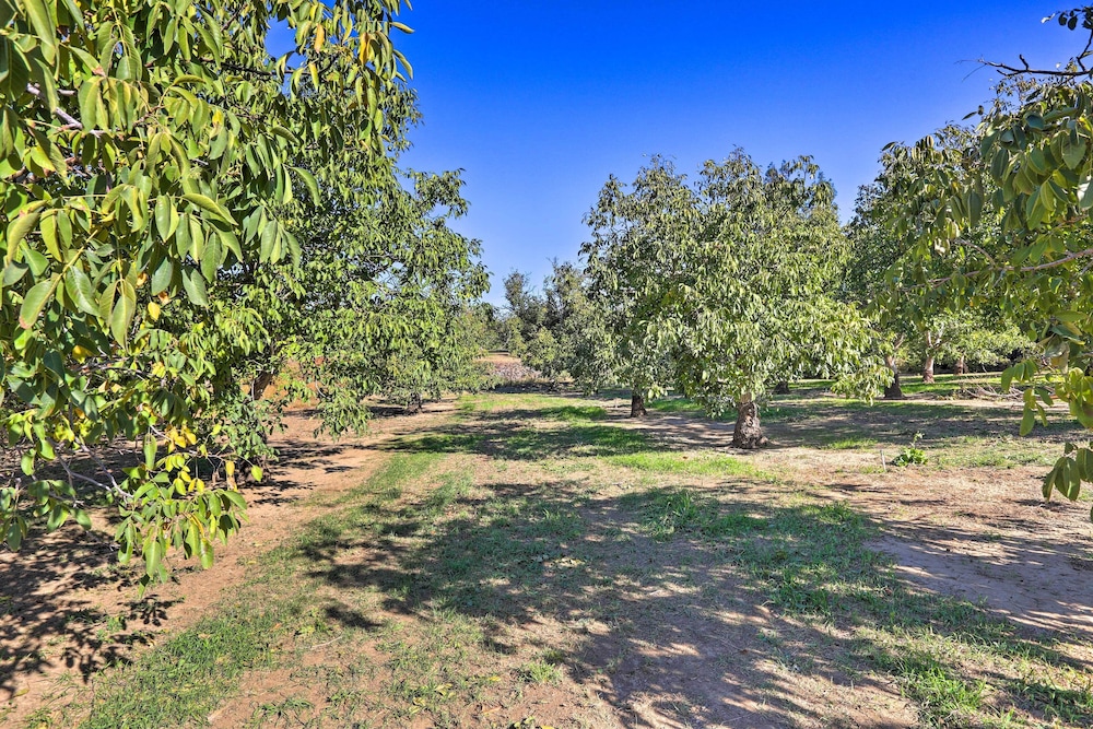 Chic Ranch-style Home on 33-acre Walnut Ranch - Property Image 12