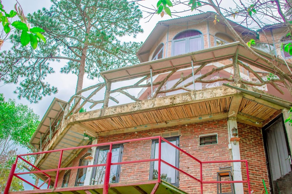 Maple Hostel
