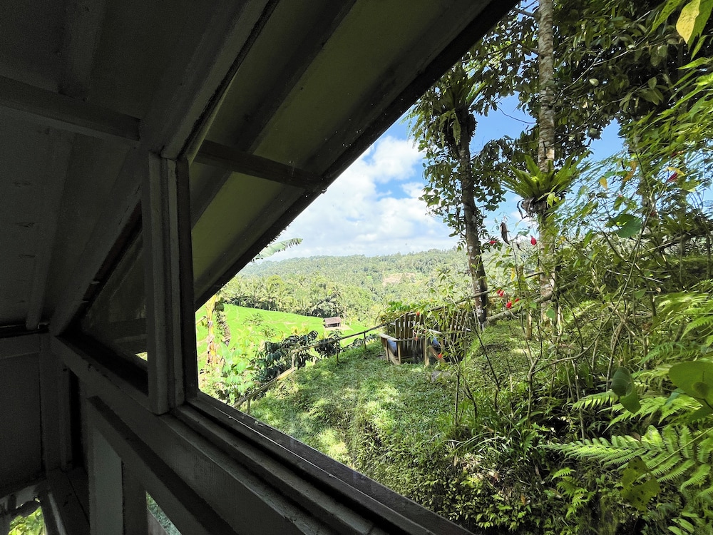 Frame Cabin with Endless Rice Field View