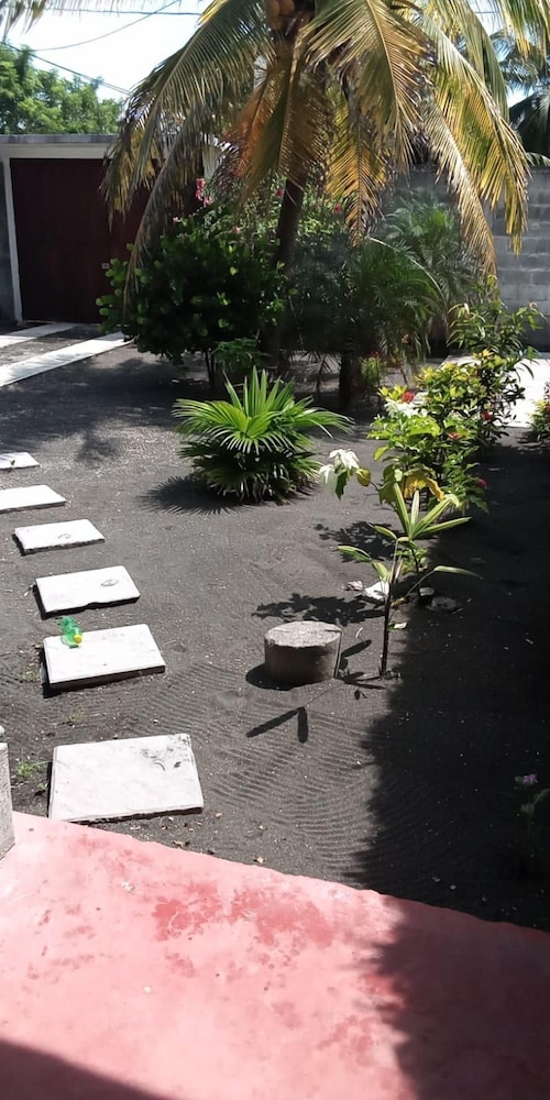 Birds House, Puerto San Jose