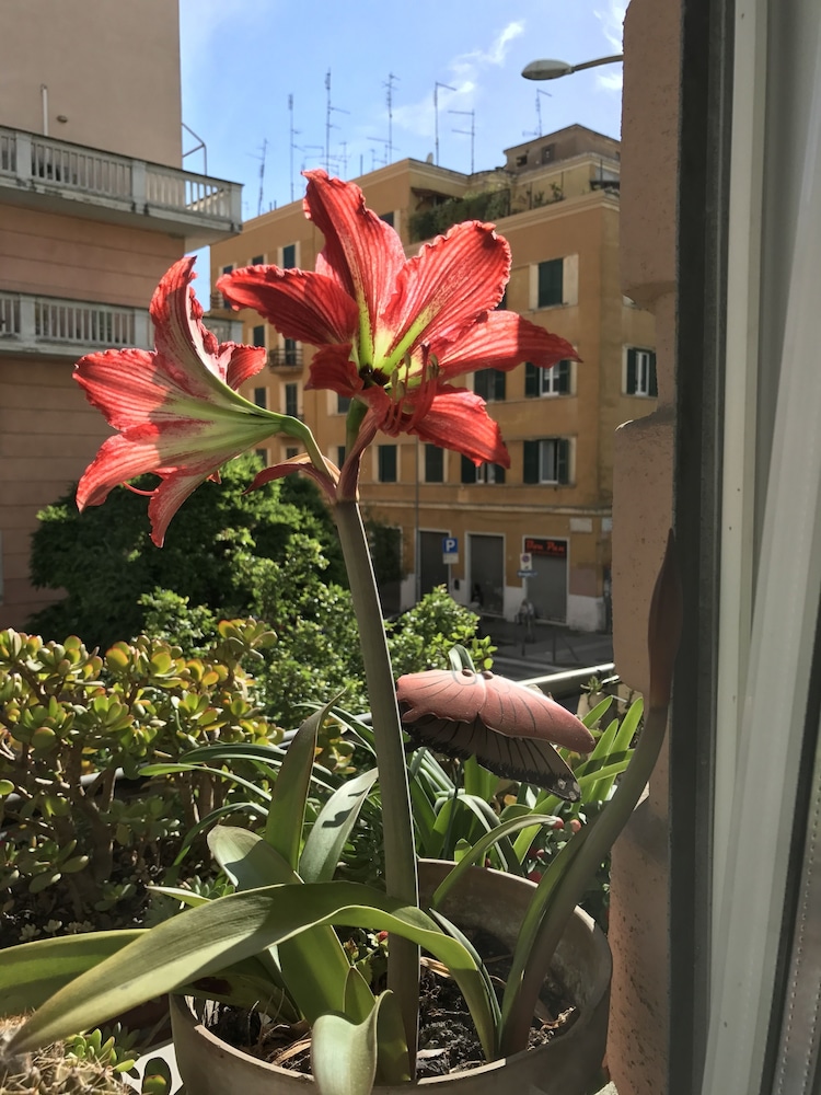 Residenza il Magnifico