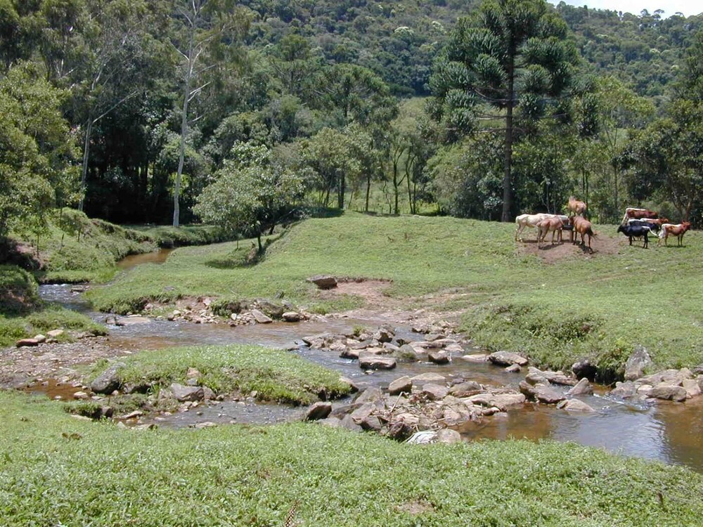 Apto 2 Férias na Fazenda Usina Térreo