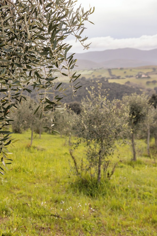 Casale Oleo
