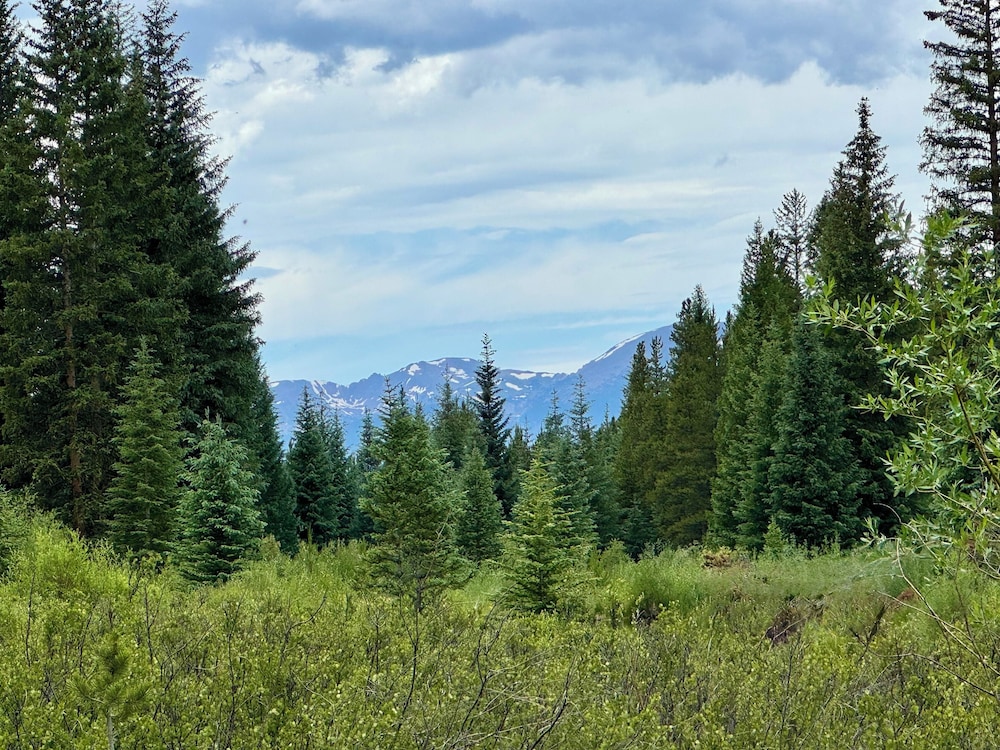 Settlers Creek 6540