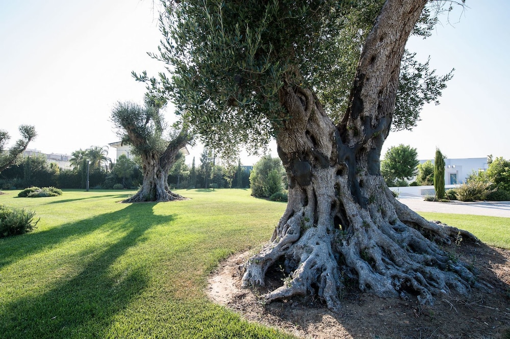 Relais Marchesi Imperiali