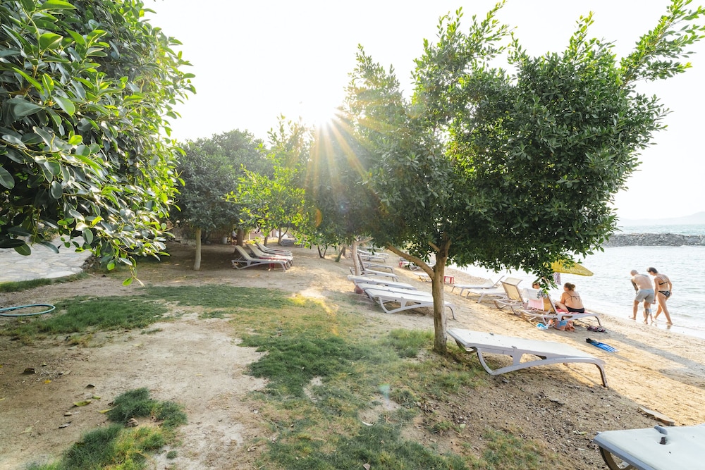 Photo 42