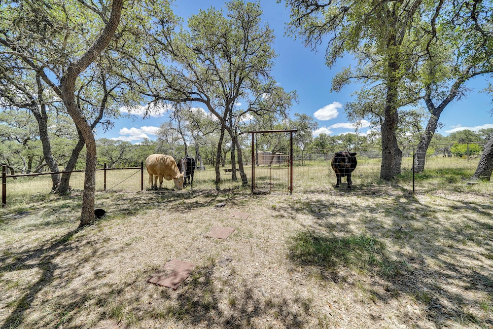 Swim, Hike & Unwind: Serene Hill Country Retreat