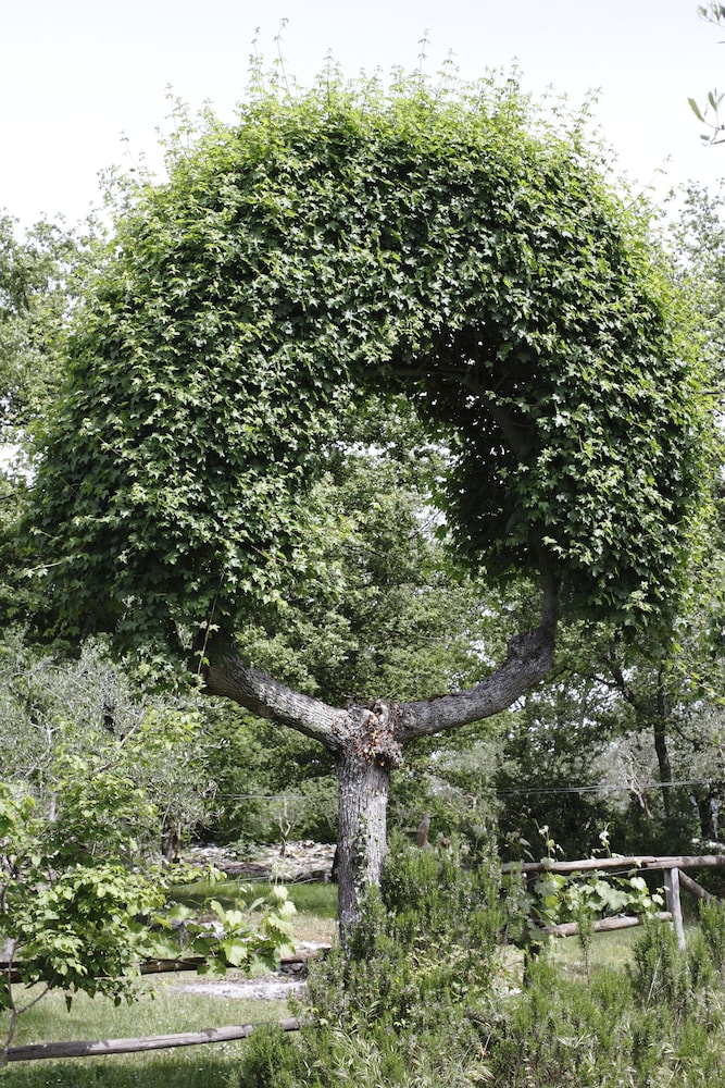 Il Colombaio di Cencio