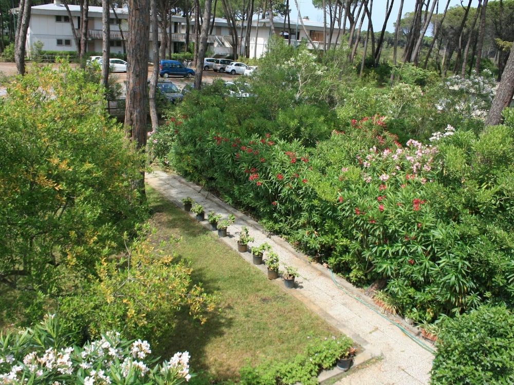 Photo 30