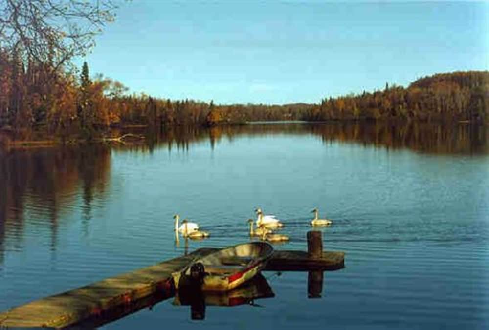 Photo 42