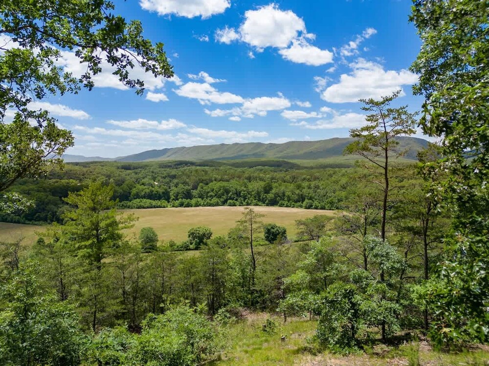 Shenandoah Retreat - Family Home