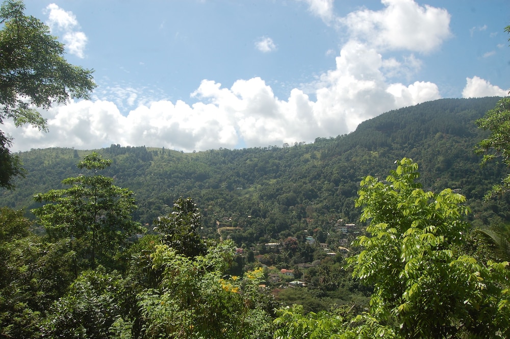Green View Home Stay