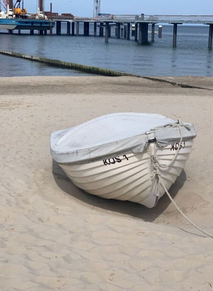 Wood in Zempin/usedom