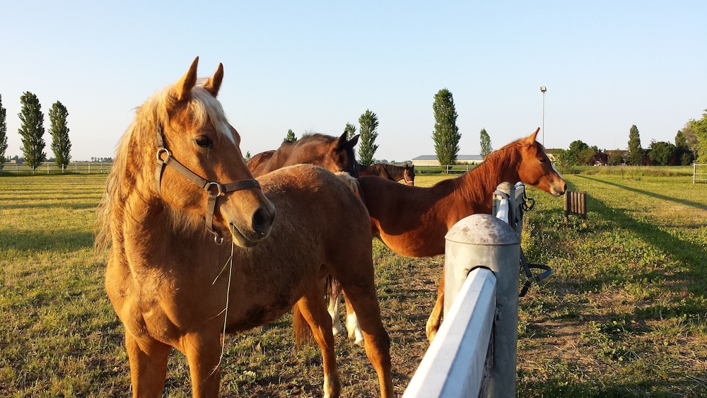 Tuscany Village Club - Ranch PratoSasso