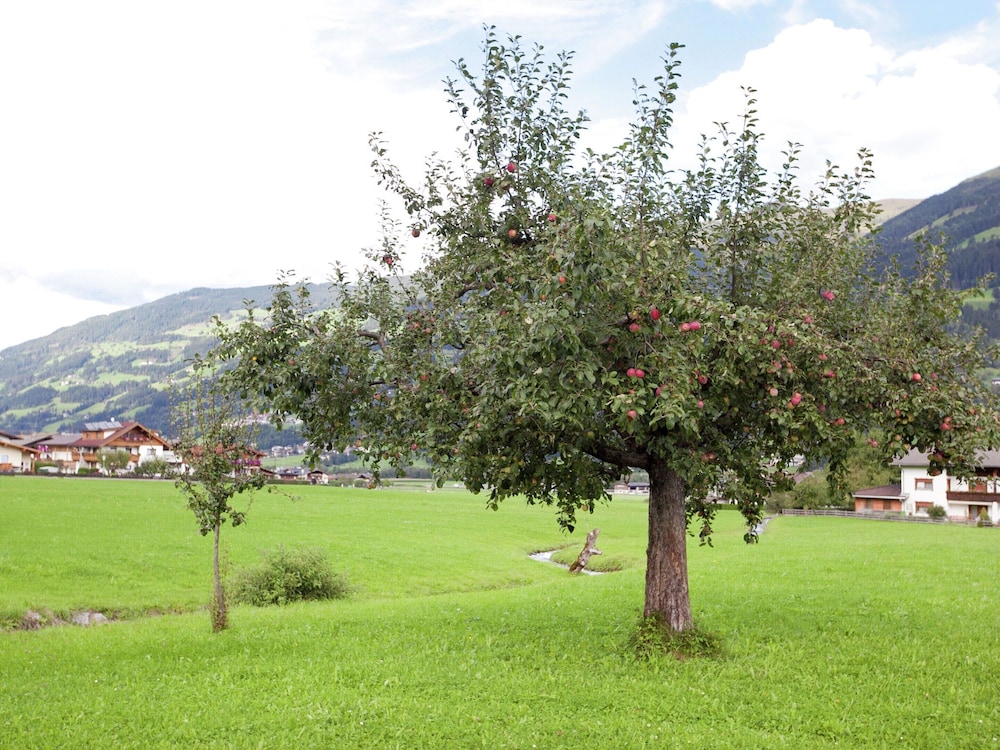 Photo 43