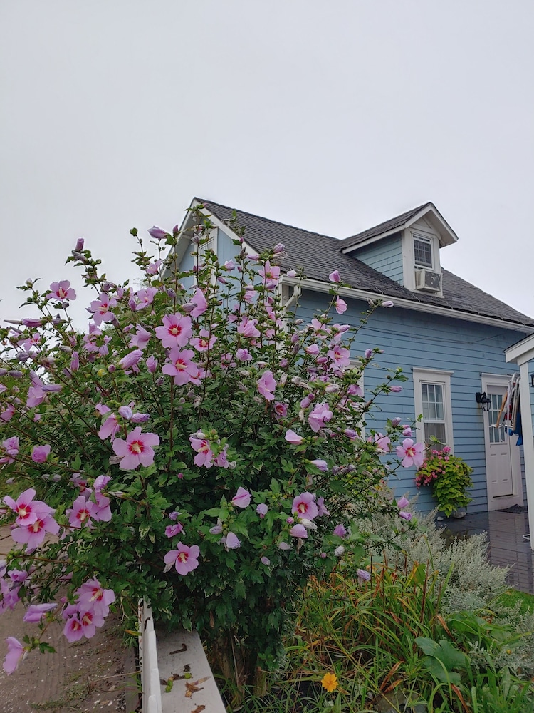 The Blue Dory Inn