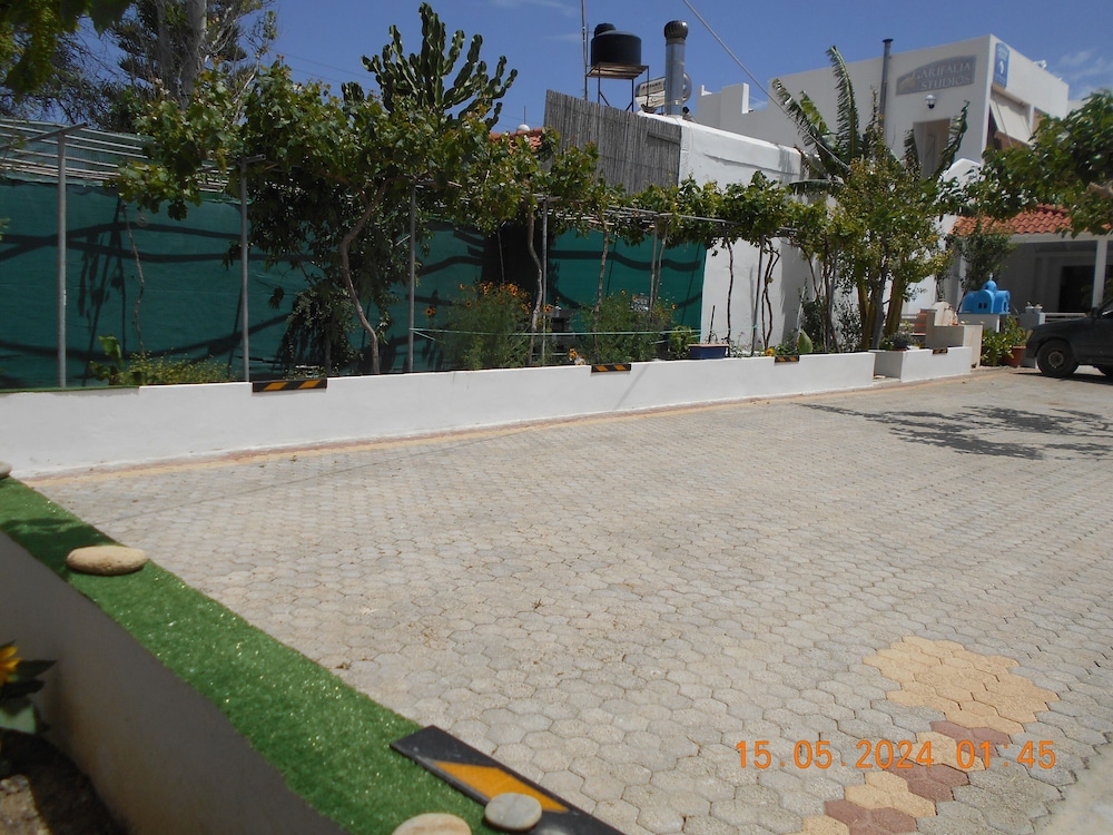 Photo 49