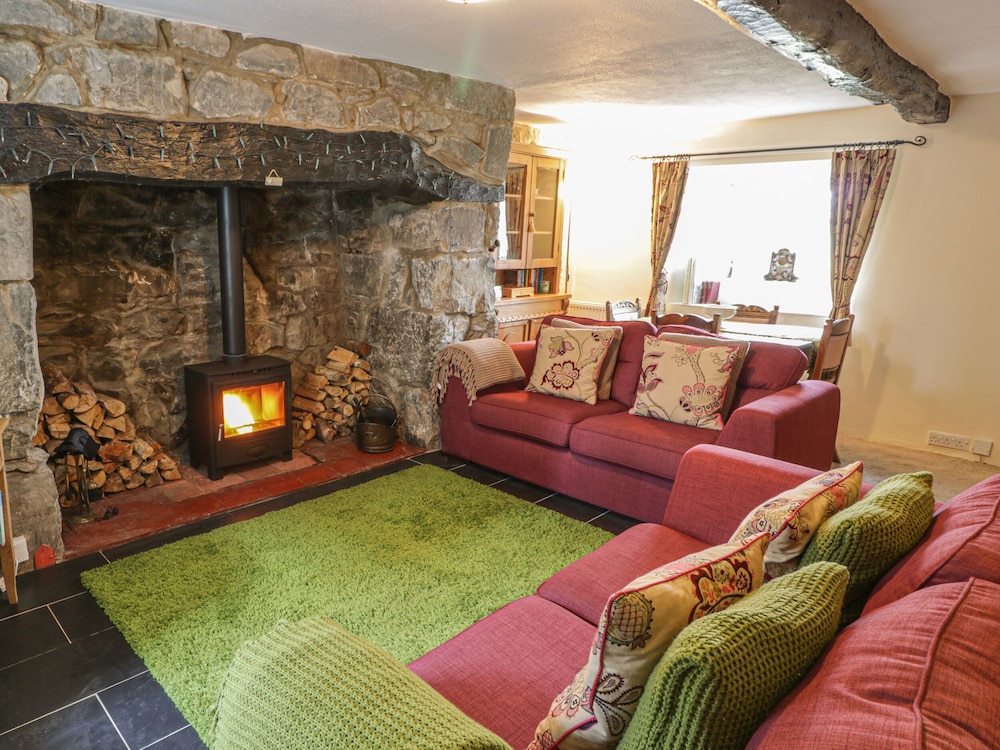 Plas Arenig view 5