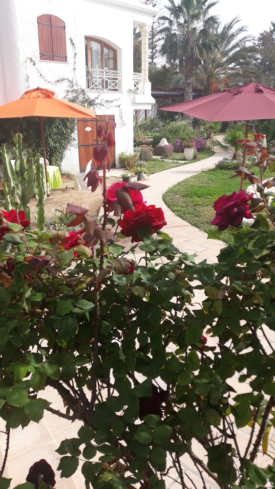 Dar Kamy, photo 44
