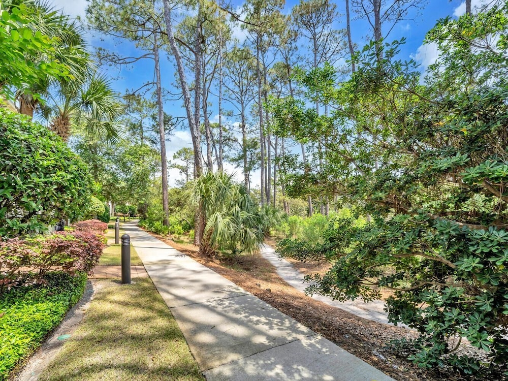 Gulf Place Courtyard 73