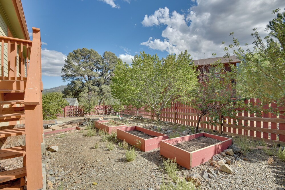 Photo 17